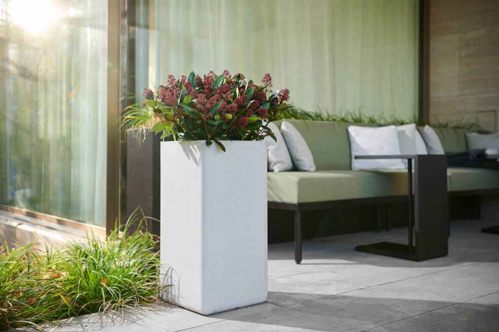 Eckige Pflanztöpfe für Ihren Garten Swisspearl